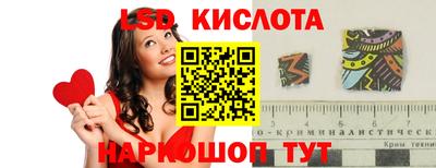 ALPHA PVP Гатчина