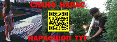 ALPHA PVP Гатчина