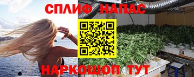 ALPHA PVP Гатчина