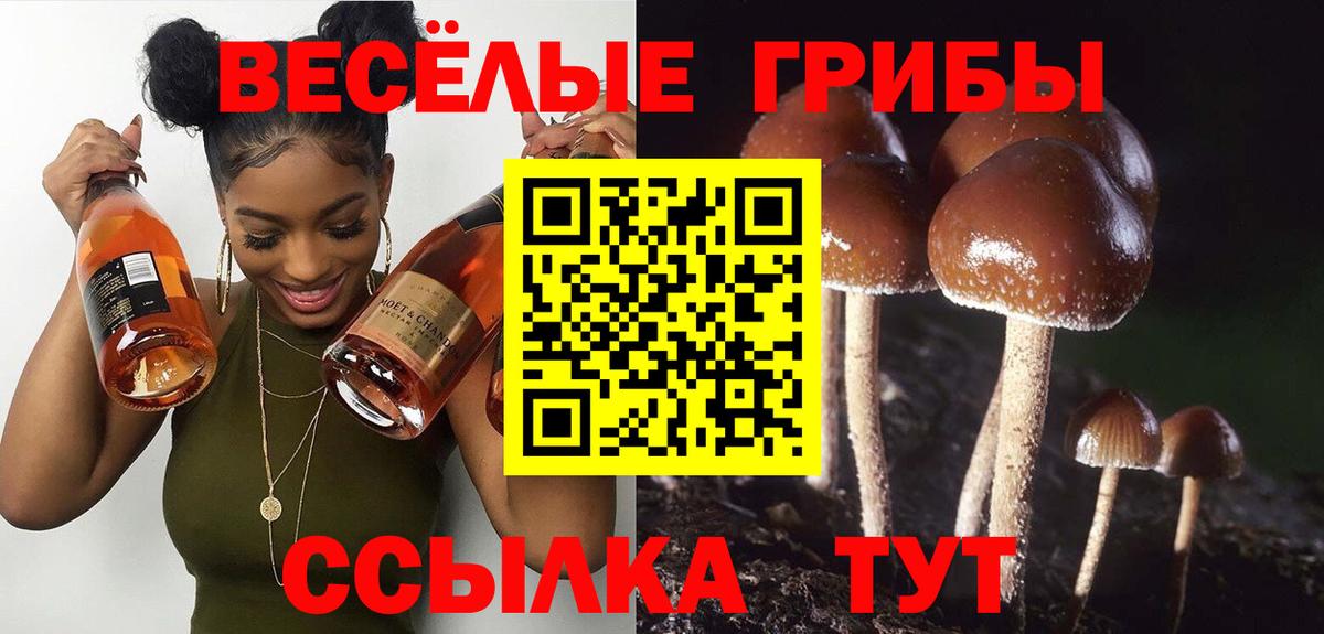 Галлюциногенные грибы MAGIC MUSHROOMS Надым